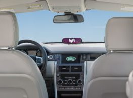 Car Sitting