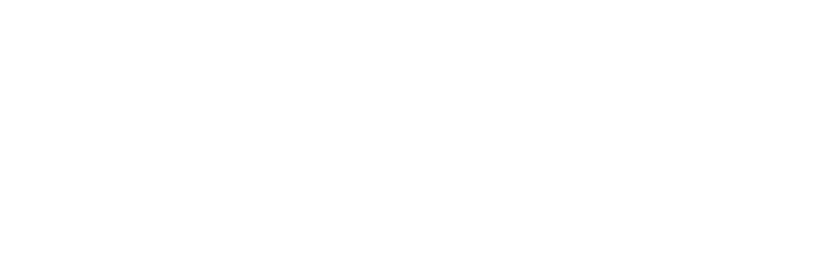 Car rental 01