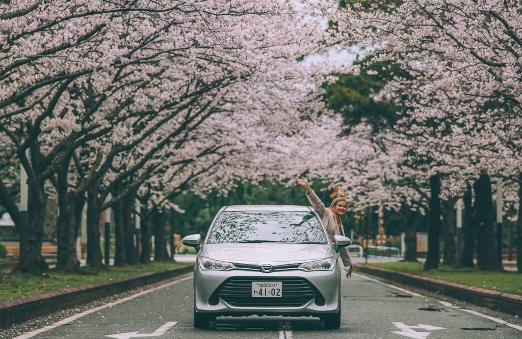 Car Rental Companies Have Too Many Vehicles and Not Enough Customers